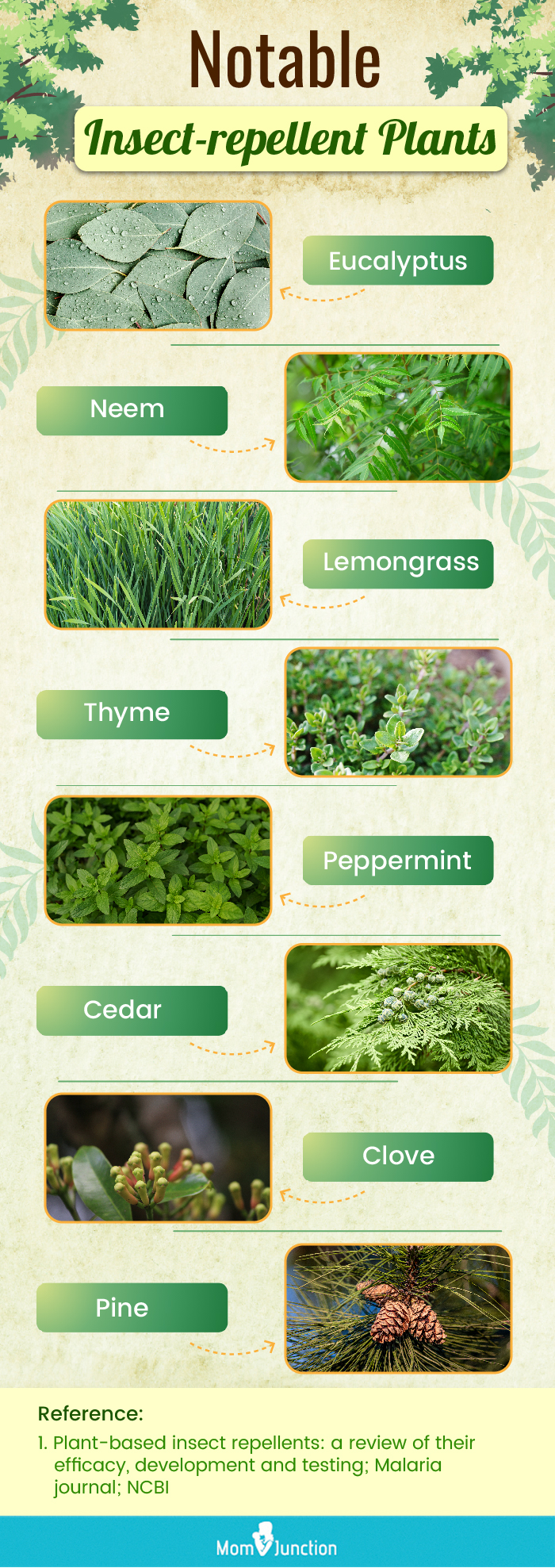 Notable Insect repellent Plants (infographic)