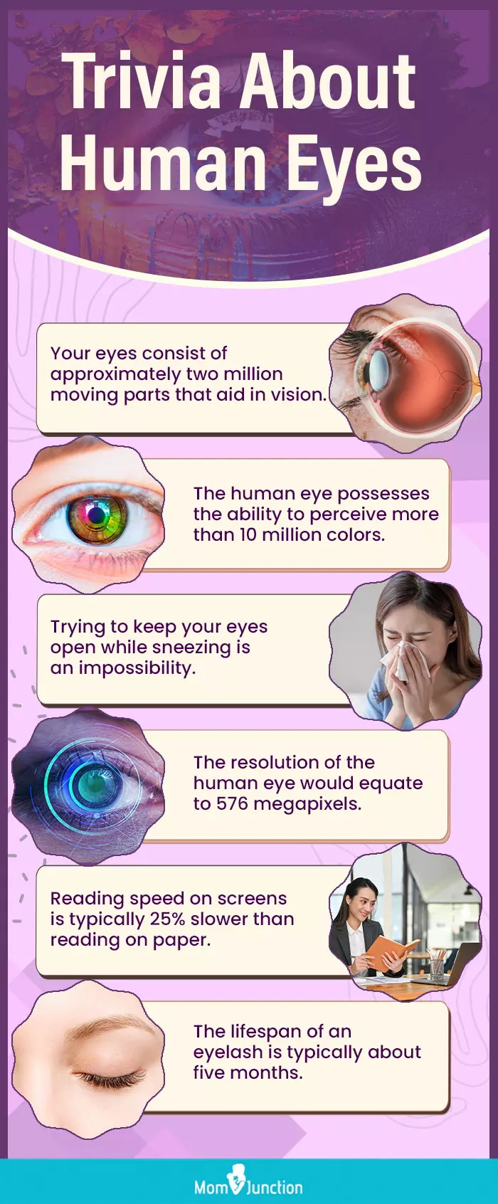 trivia about human eyes (infographic)