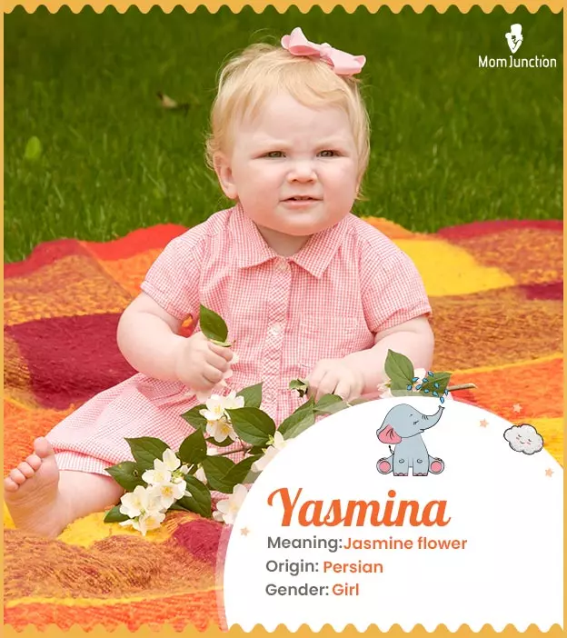 Baby Name Yasmina Meaning, Origin, And Popularity