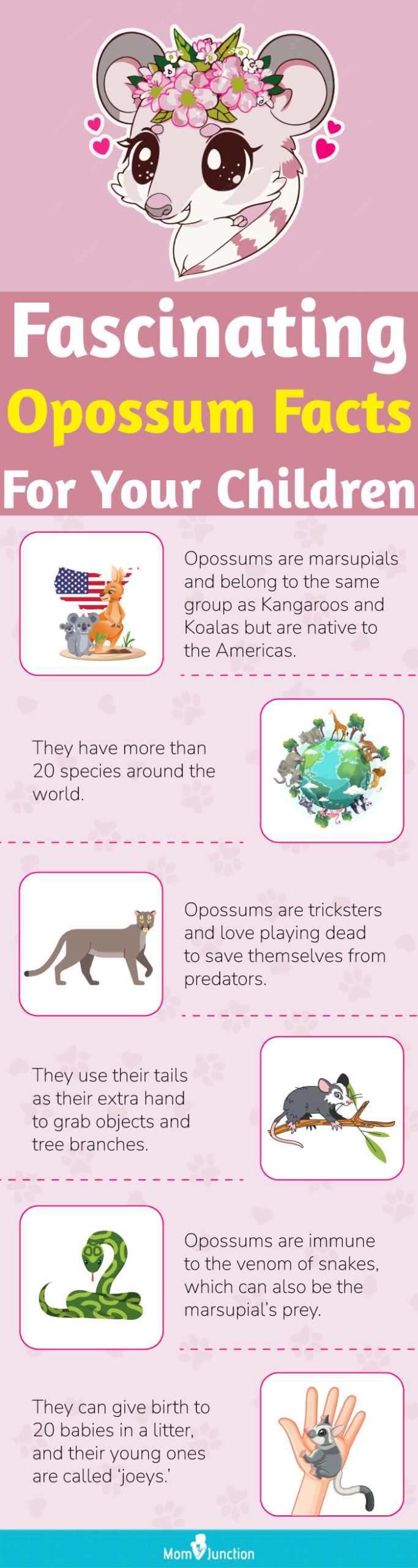 fascinating opossum facts for your children (infographic)