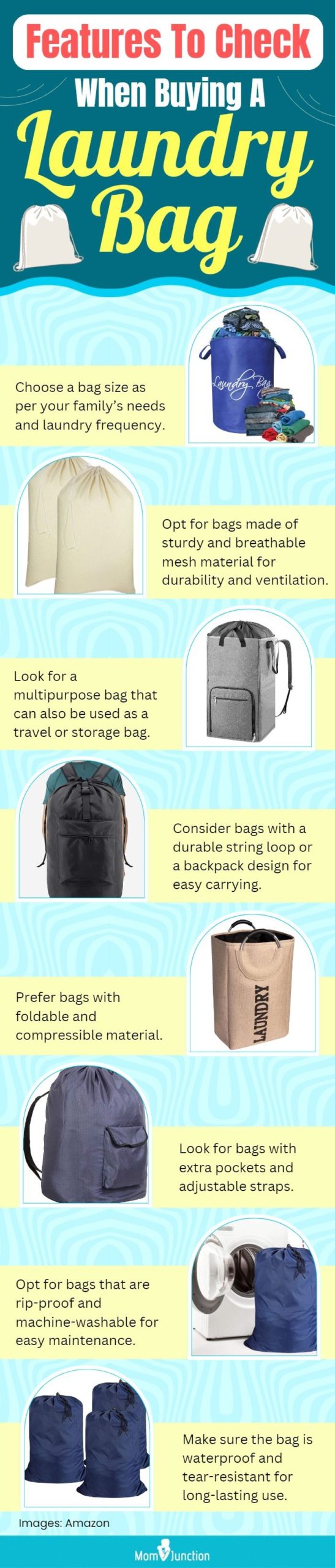 Features To Check When Buying A Laundry Bag (infographic)