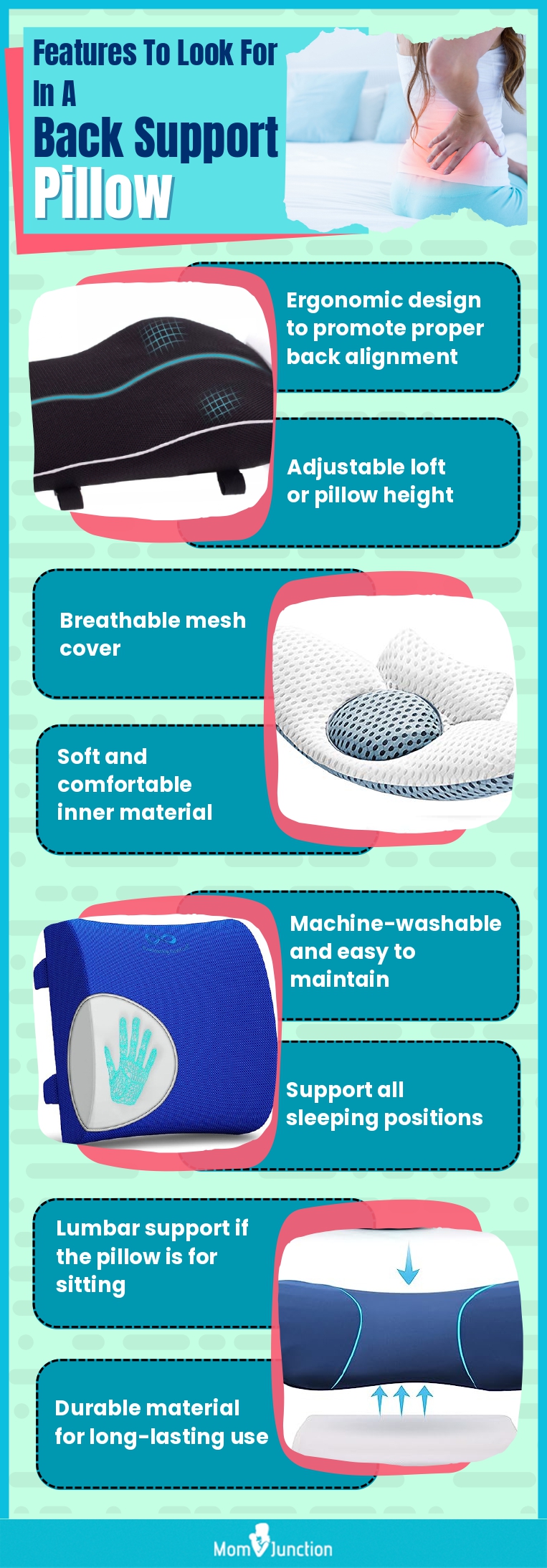 Features To Look For In A Back Support Pillow (infographic)