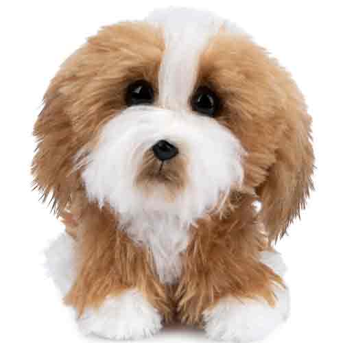 Gund Boo, The World's Cutest Dog