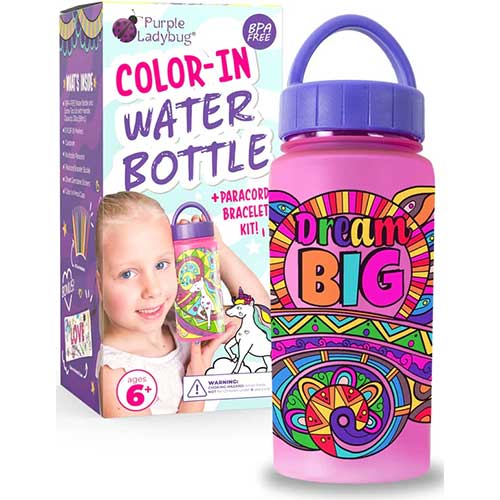 Purple Ladybug Color-In Water Bottle For Girls