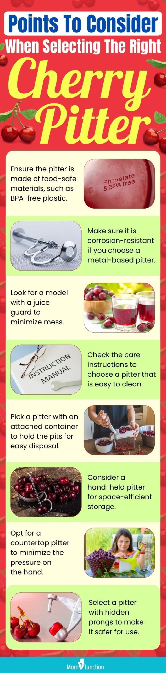 Points To Consider When Selecting The Right Cherry Pitter (infographic)