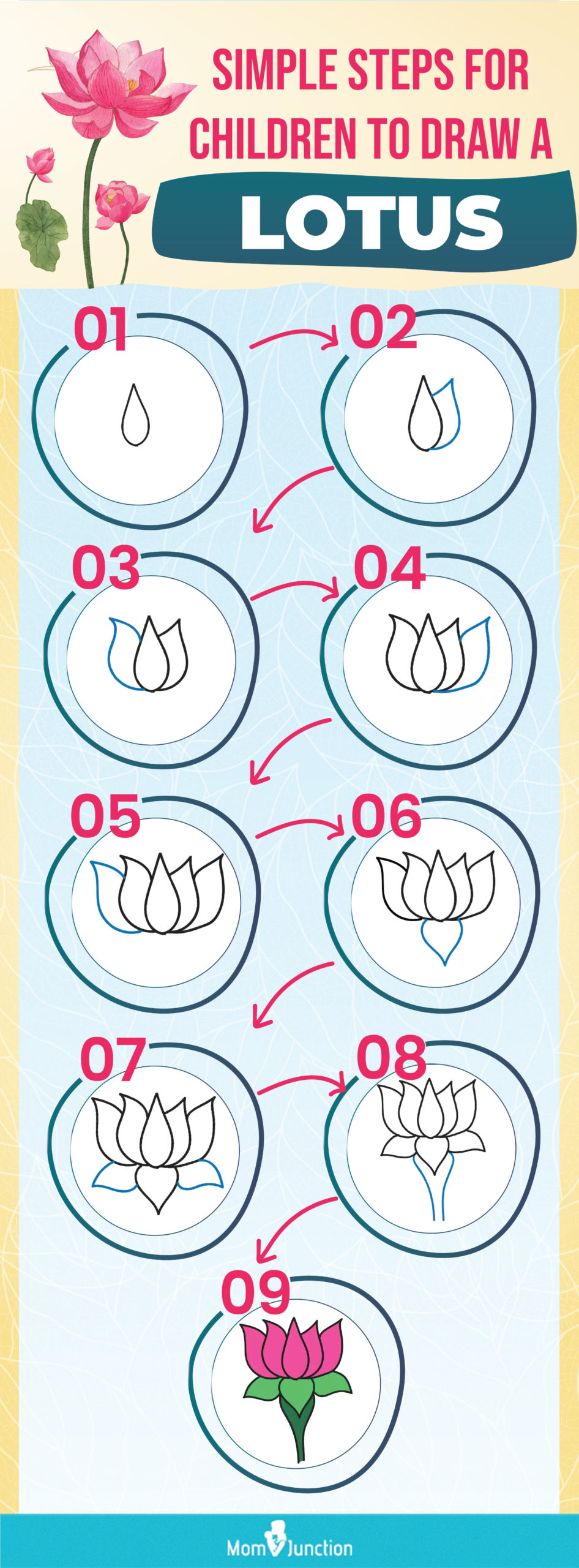 easy instructions to draw a lotus for children (infographic)