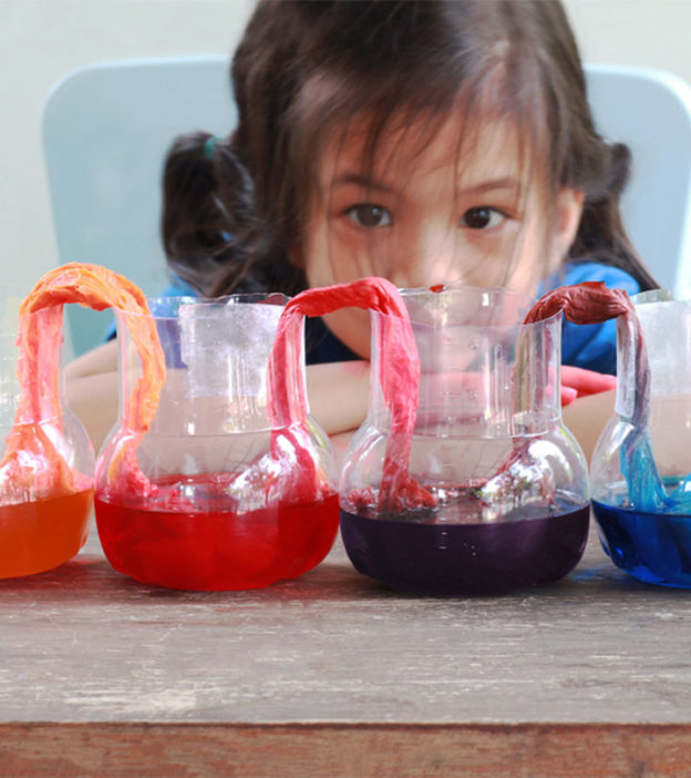 All You Need To Know About Cultivating STEM Learning Experiences Early