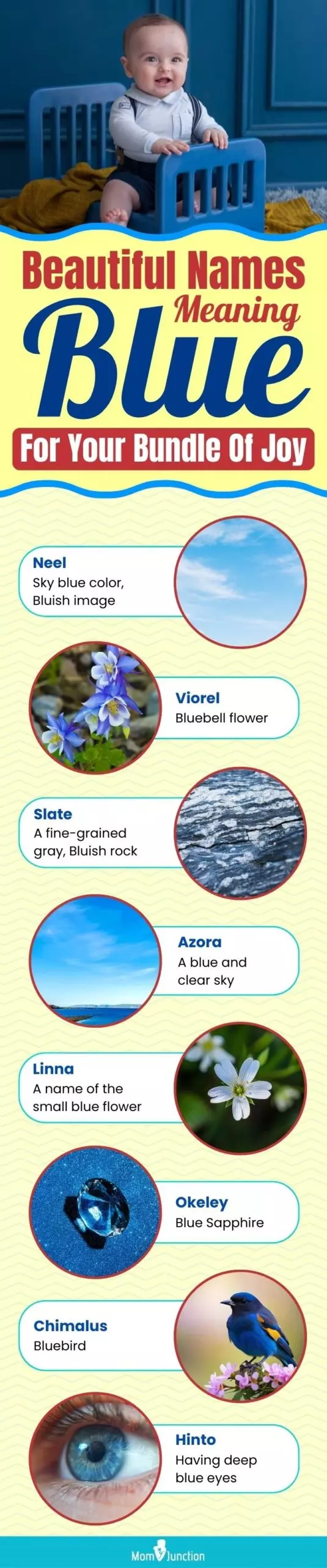 beautiful names meaning blue for your bundle of joy (infographic)