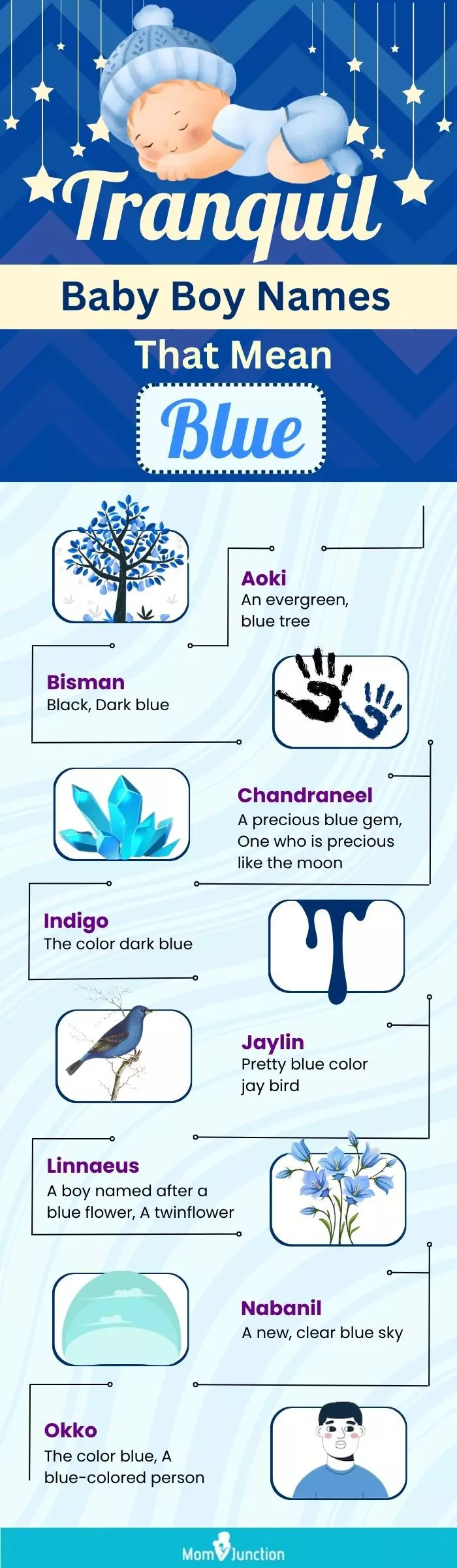 tranquil baby boy names that mean blue(infographic)