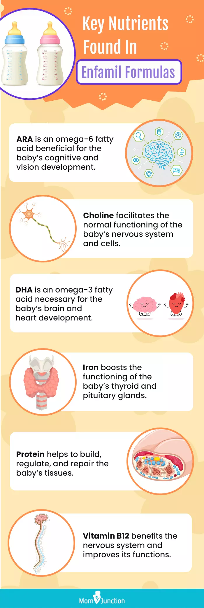 Key Nutrients Found In Enfamil formulas (infographic)