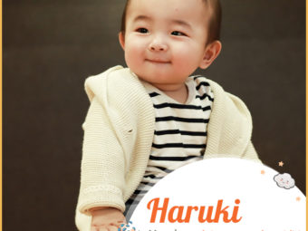 Haruki meaning brightness