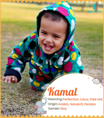 Kamal signifies perfection or lotus