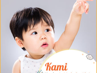 Kami means God, perfection, wind