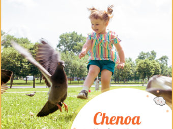 Chenoa meaning White dove