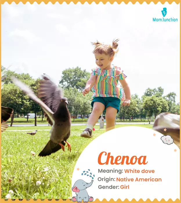 Chenoa Name Meaning, Origin, History, And Popularity | MomJunction