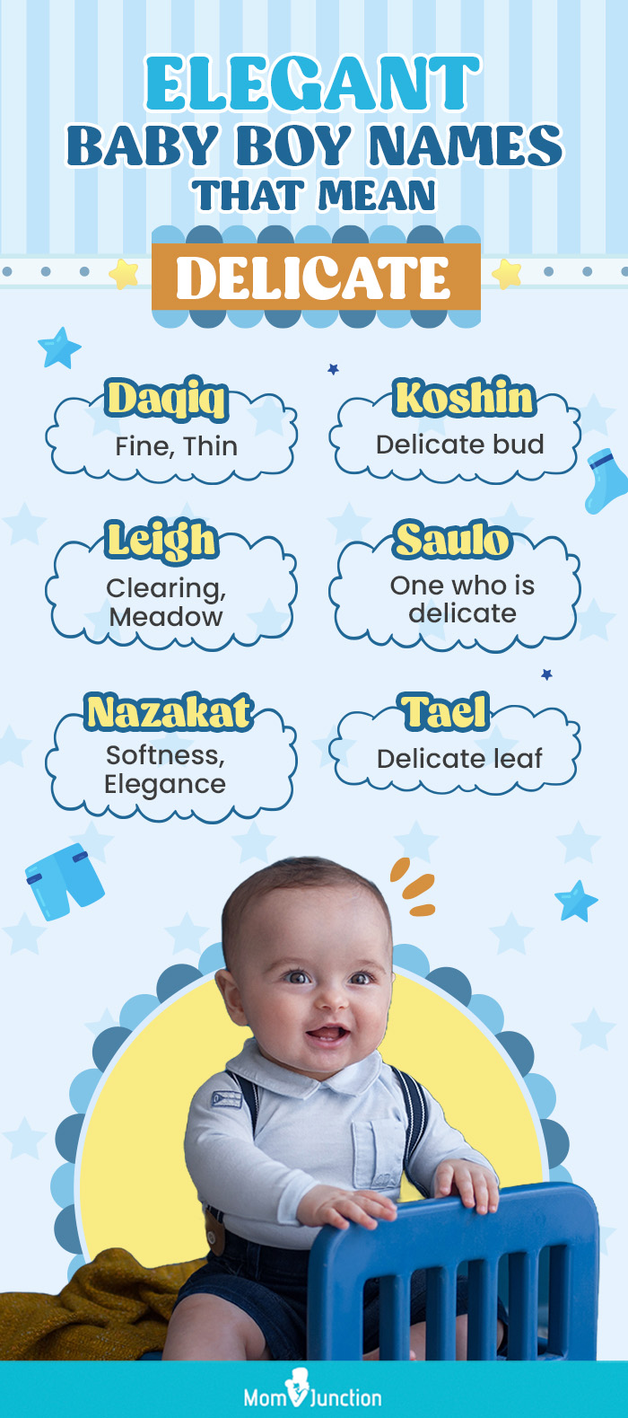 elegant baby boy names that mean delicate (infographic)