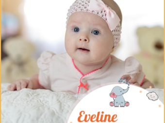 Eveline means source of life