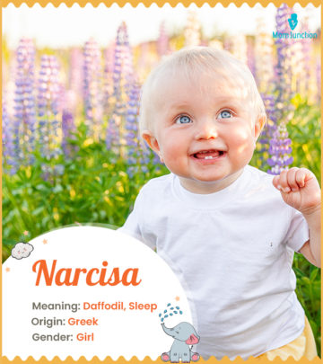 Narcisa means daffodil