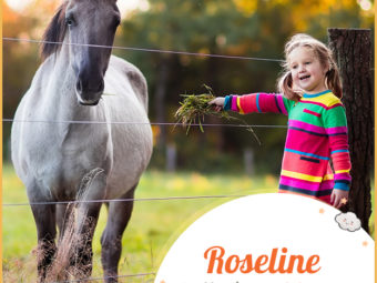 Roseline, meaning gentle horse