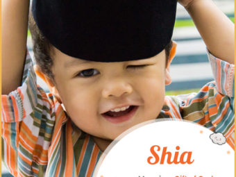 Shia means gift of God