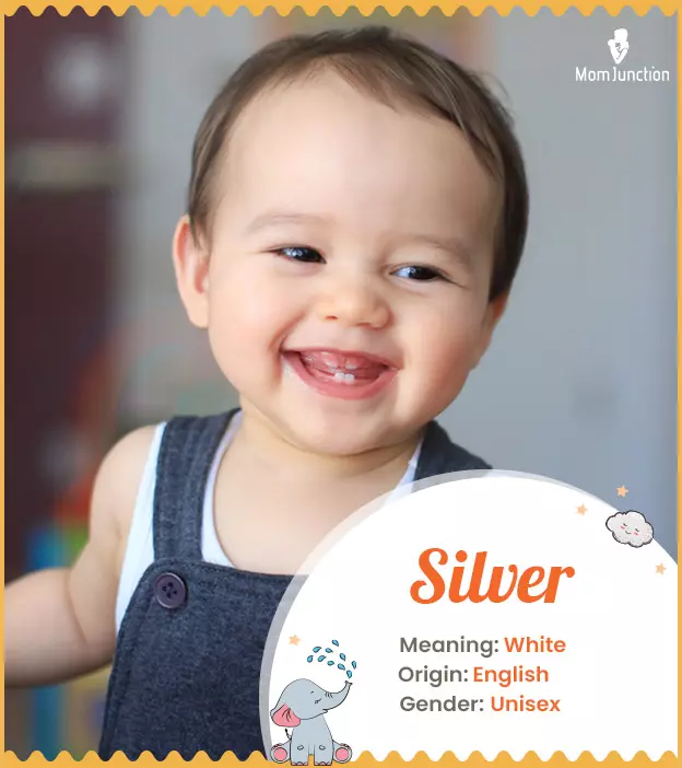 Silver Name Meaning, Origin, History, And Popularity MomJunction