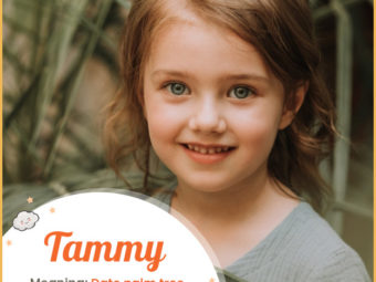 Tammy, means date palm tree or twin