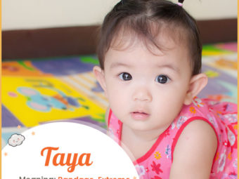 Taya means bandage