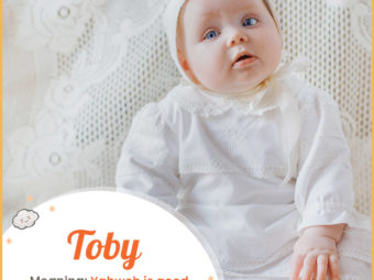 Toby, a biblical boy