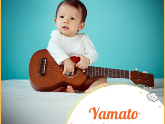 Yamato, meaning great harmony