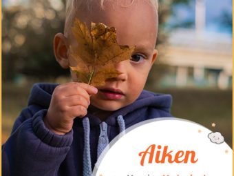 Aiken, a boy name