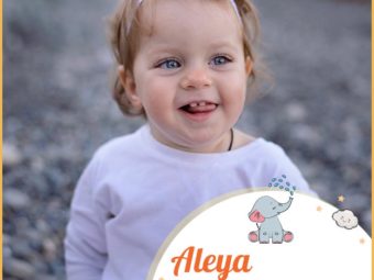 Aleya, means to ascend or noble.