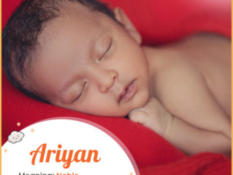 Ariyan, refers to a noble person