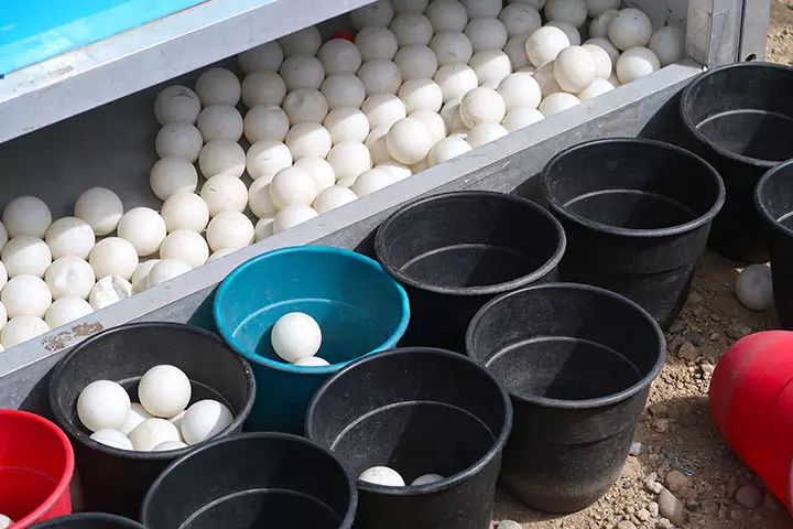 Ball drop game