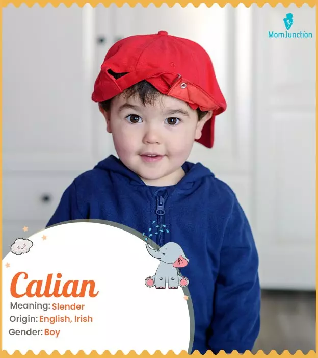 Calian Name Meaning, Origin, History, And Popularity | MomJunction