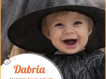 Dabria, a contemporary choice for girls