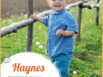 Haynes means enclosure.