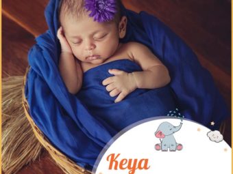 Keya, meaning a monsoon flower