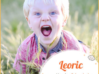 Leoric, an English name