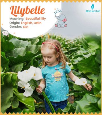 Lilybelle is an English name