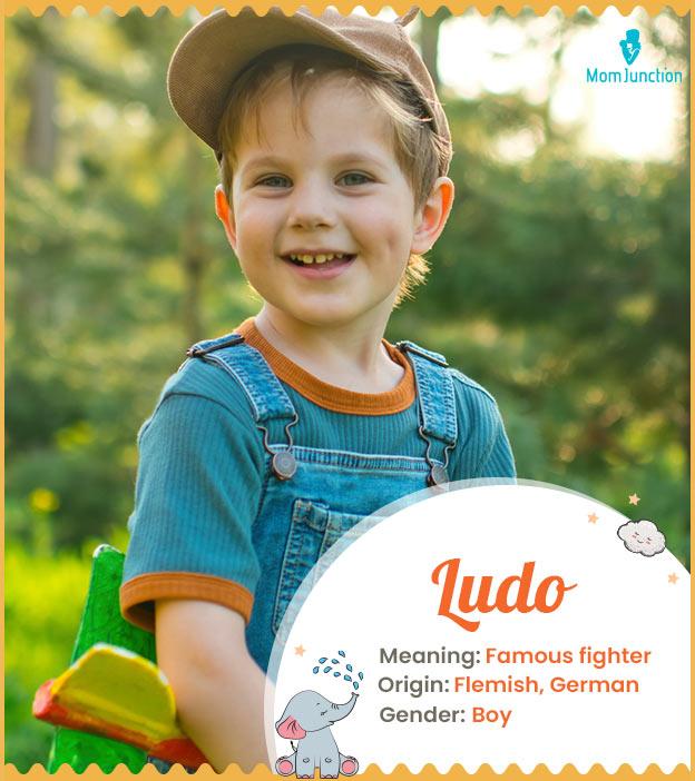 Ludo Name Meaning, Origin, History, And Popularity MomJunction