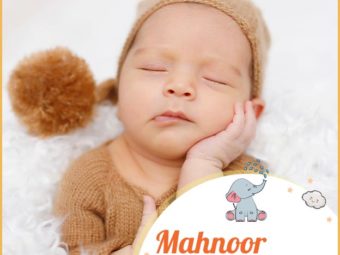 Mahnoor means light of the moon