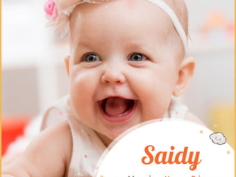 Saidy, meaning happy or princess