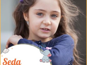 Seda, a starry name for your munchkin.