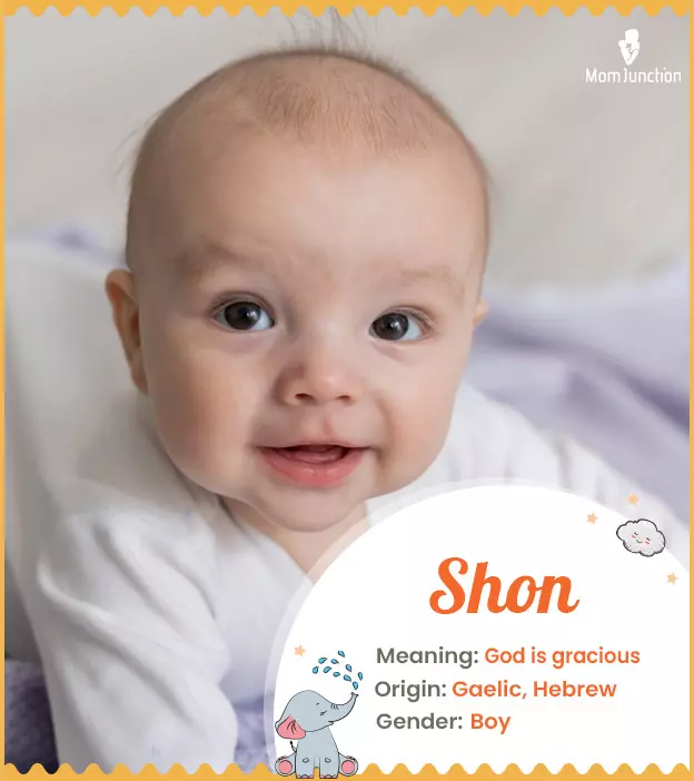 Shon Name Meaning, Origin, History, And Popularity 