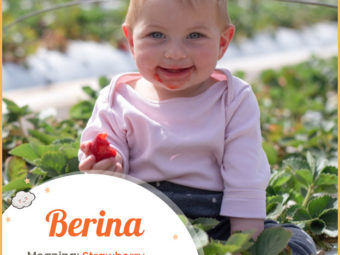 Berina means strawberry