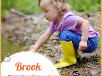 Brook means someone who lived by a brook