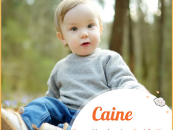Caine means acquired, battle, or cane