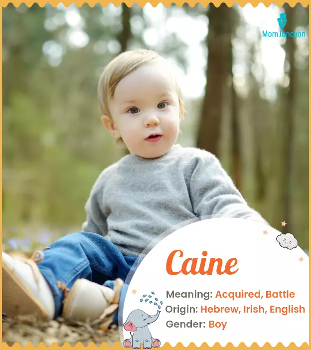 Caine Name Meaning, Origin, History, And Popularity | MomJunction