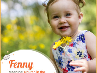 Fenny refers to a church in a fenny ground