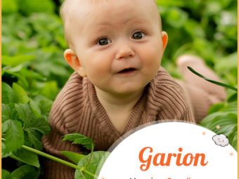 Garion is a fictional name